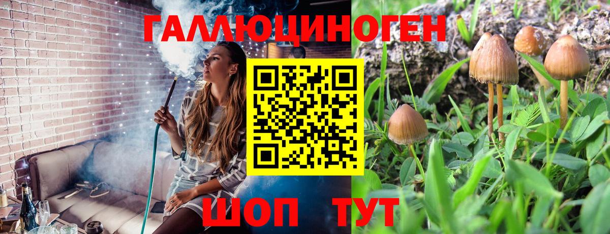 Псилоцибиновые грибы мухоморы Касимов