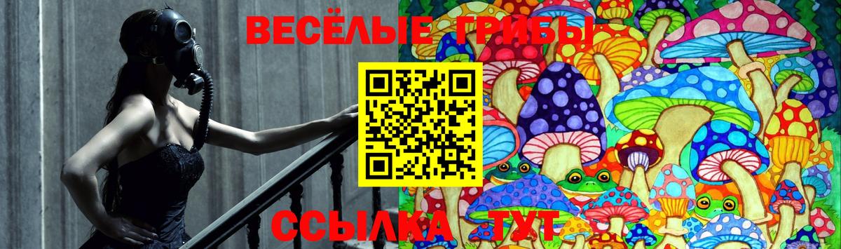 Псилоцибиновые грибы прущие грибы  сколько стоит  Касимов  Вход с VPN  Псилоцибиновые грибы ЛСД 